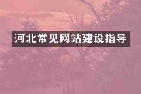 河北常见网站建设指导