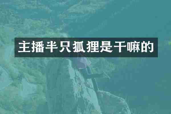 主播半只狐狸是干嘛的