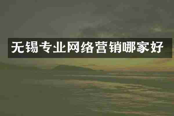 无锡专业网络营销哪家好