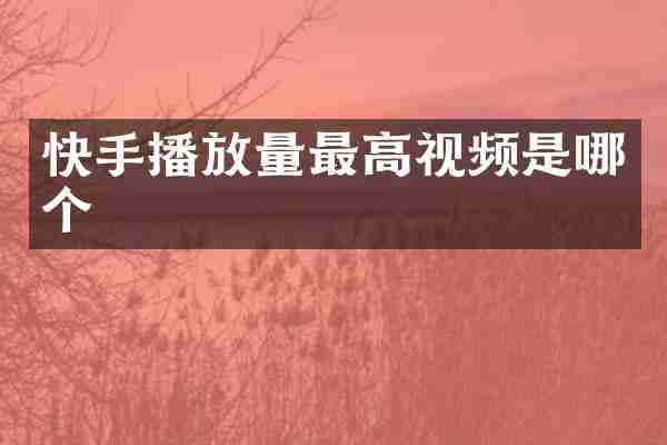 快手播放量最高视频是哪个