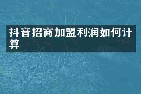 抖音招商加盟利润如何计算
