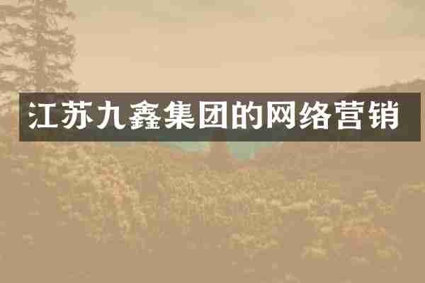 江苏九鑫集团的网络营销