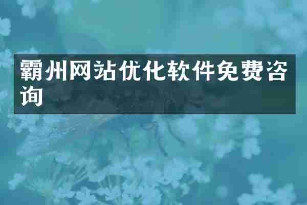 霸州网站优化软件免费咨询