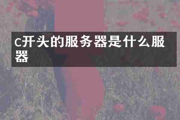 c开头的服务器是什么服务器