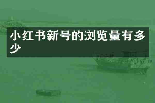 小红书新号的浏览量有多少