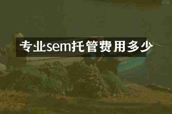 专业sem托管费用多少