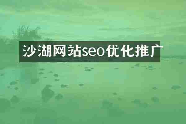 沙湖网站seo优化推广