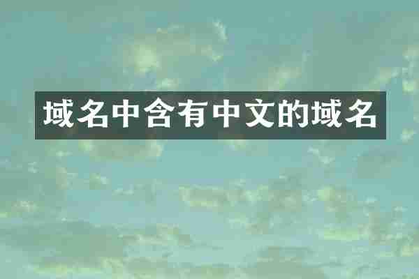 域名中含有中文的域名