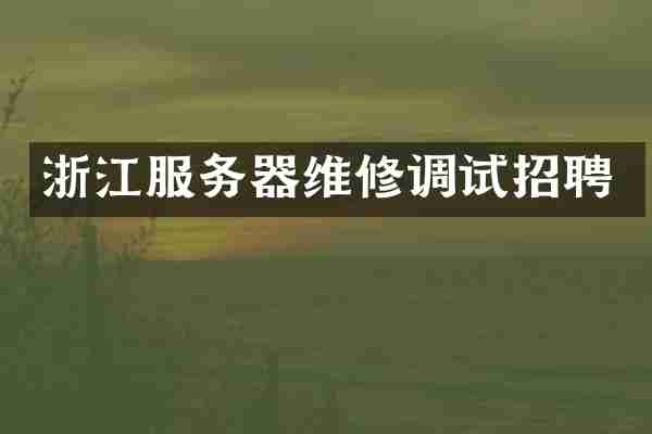 浙江服务器维修调试招聘