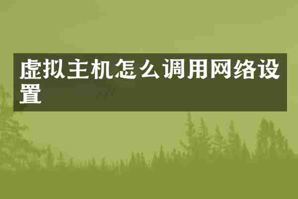 虚拟主机怎么调用网络设置