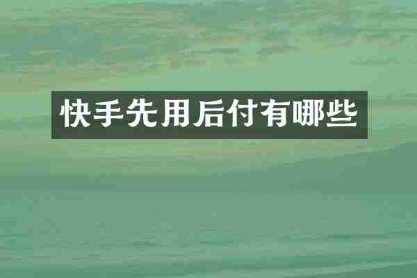 快手先用后付有哪些