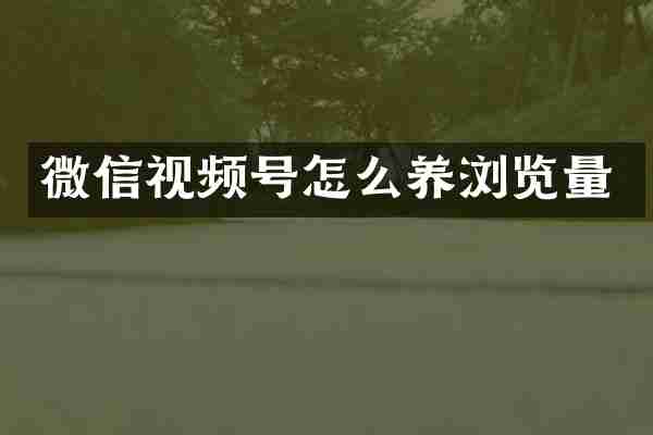 微信视频号怎么养浏览量