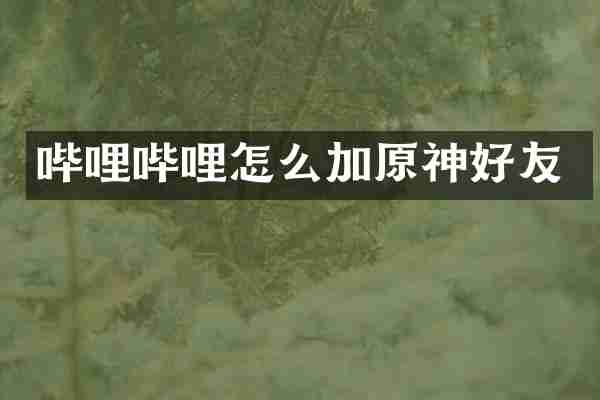 哔哩哔哩怎么加原神好友