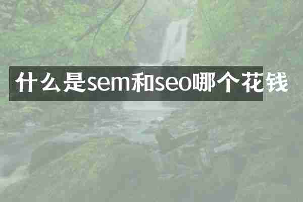 什么是sem和seo哪个花钱