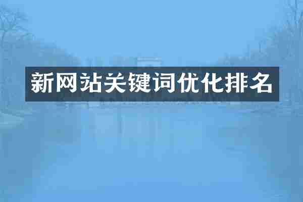 新网站关键词优化排名