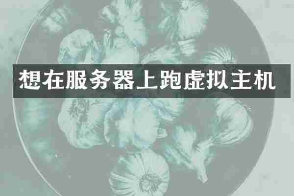 想在服务器上跑虚拟主机