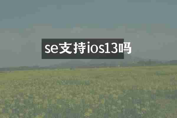 se支持ios13吗