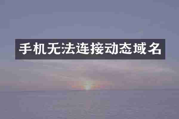 手机无法连接动态域名