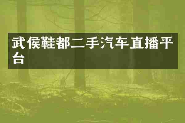 武侯鞋都二手汽车直播平台