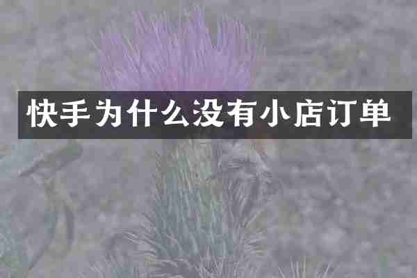 快手为什么没有小店订单