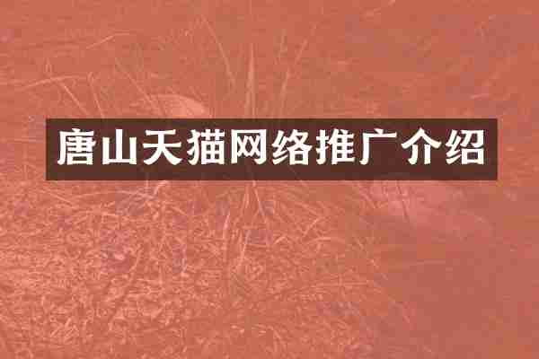 唐山天猫网络推广介绍