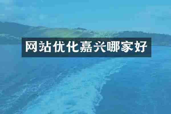 网站优化嘉兴哪家好