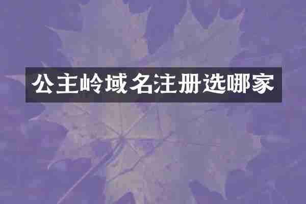 公主岭域名注册选哪家