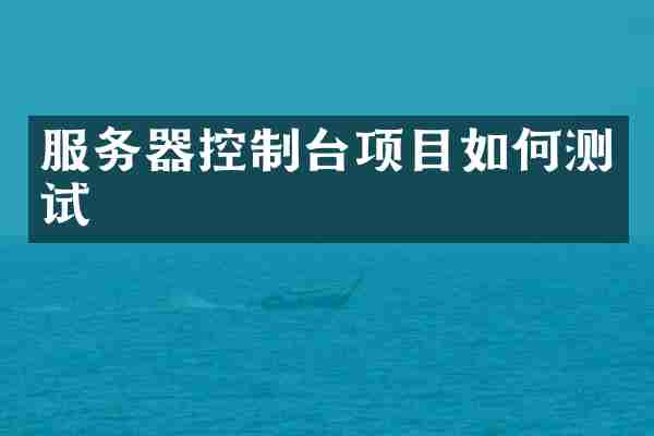 服务器控制台项目如何测试