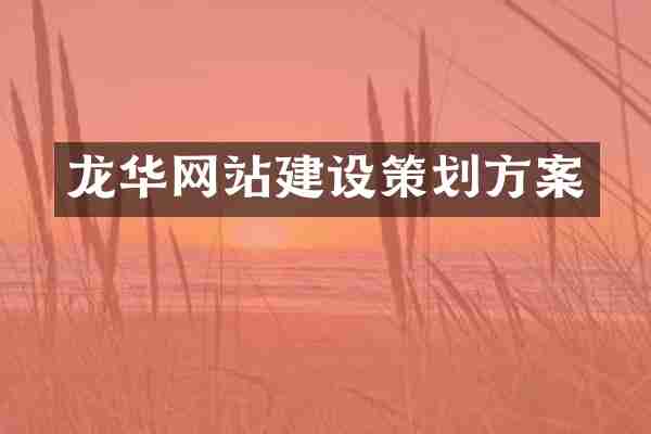 龙华网站建设策划方案