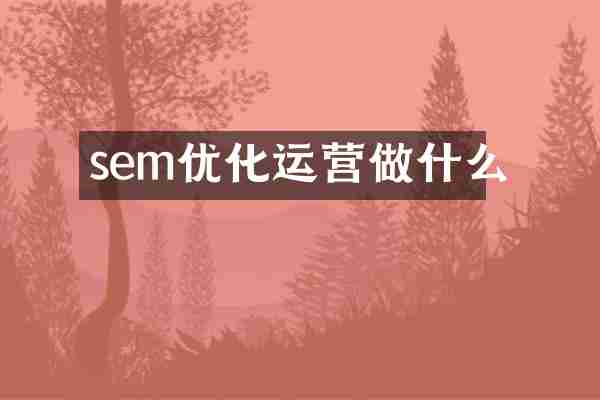 sem优化运营做什么