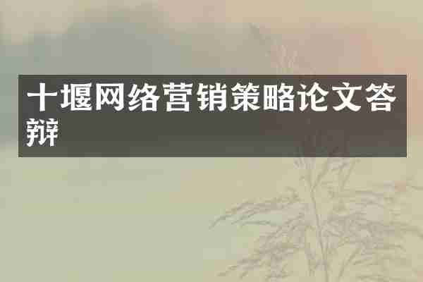 十堰网络营销策略论文答辩