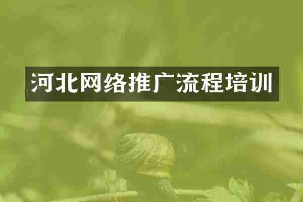 河北网络推广流程培训