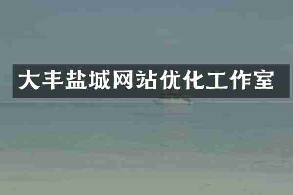 大丰盐城网站优化工作室