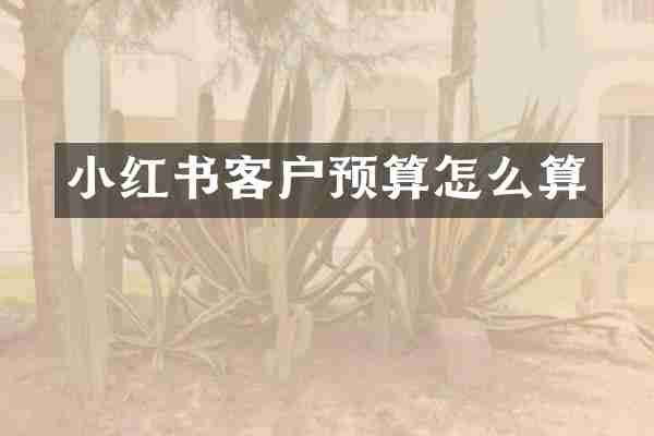 小红书客户预算怎么算