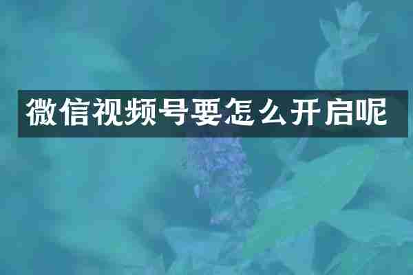 微信视频号要怎么开启呢
