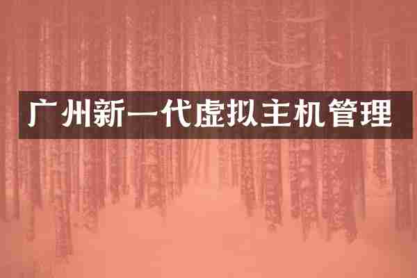 广州新一代虚拟主机管理
