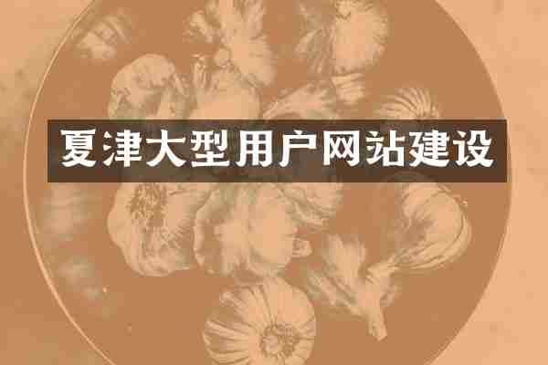 夏津大型用户网站建设