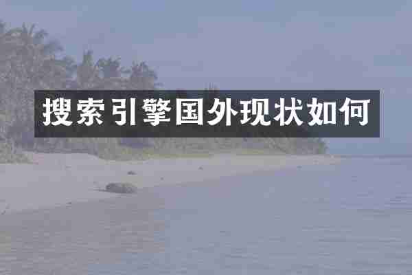 搜索引擎国外现状如何