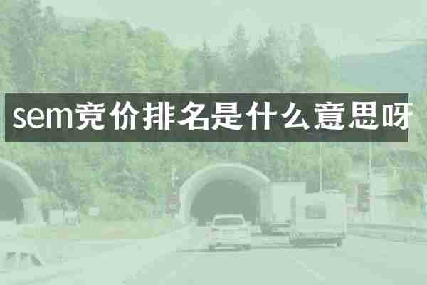 sem竞价排名是什么意思呀