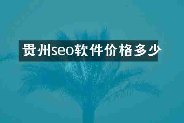 贵州seo软件价格多少