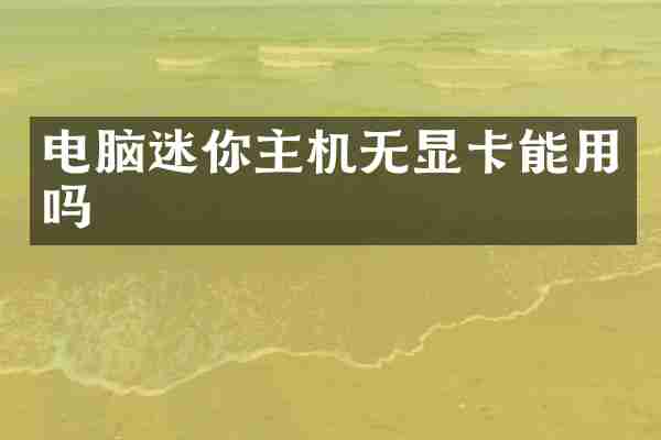 电脑迷你主机无显卡能用吗