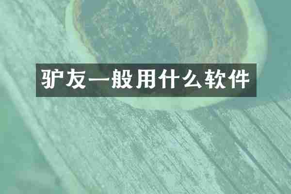 驴友一般用什么软件