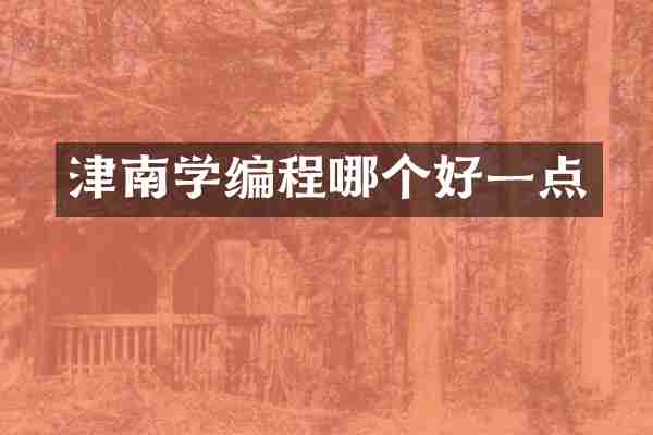 津南学编程哪个好一点