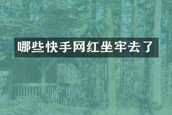 哪些快手网红坐牢去了