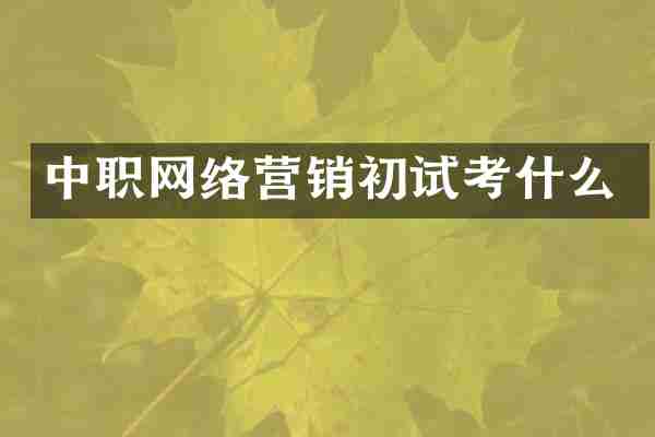 中职网络营销初试考什么