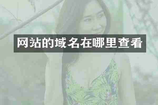 网站的域名在哪里查看