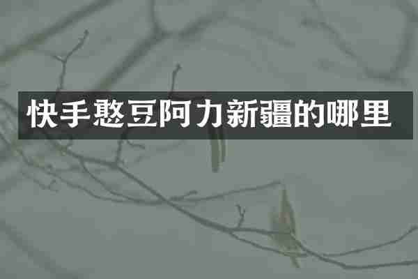 快手憨豆阿力新疆的哪里