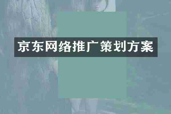 京东网络推广策划方案