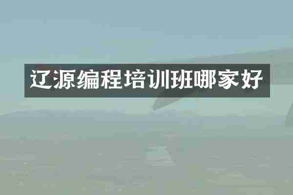 辽源编程培训班哪家好