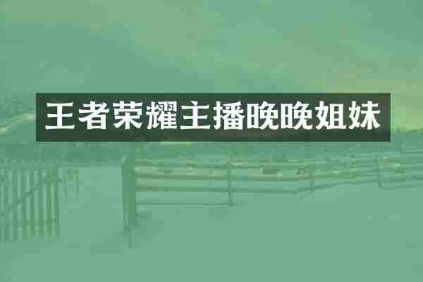 王者荣耀主播晚晚姐妹